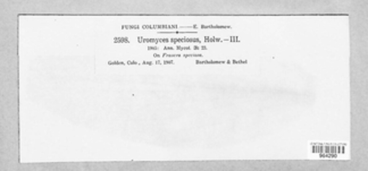 Uromyces speciosus image